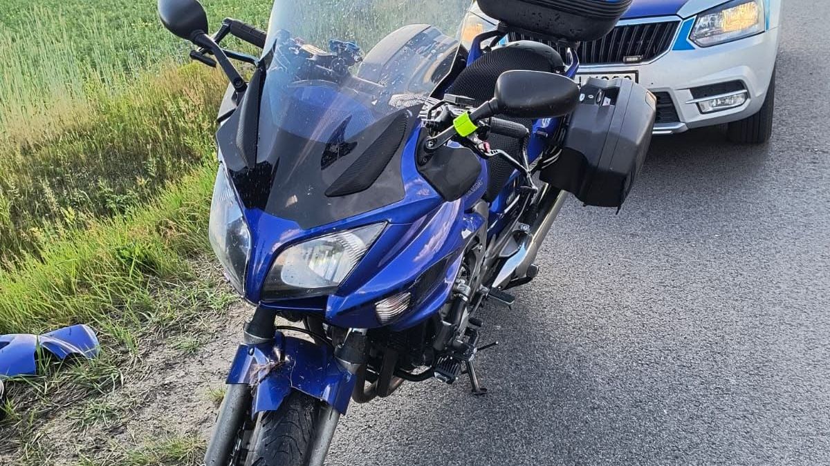 Zdarzenie drogowe z udziałem motocyklisty i dzikiej zwierzyny 