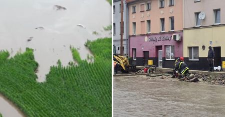"Nie mam jak pracować". Biznes i rolnicy cierpią po ekstremalnym deszczu