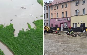 "Nie mam jak pracować". Biznes i rolnicy cierpią po ekstremalnym deszczu