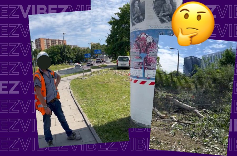 Robotnik w Krakowie w cieniu słupa po wycięciu drzew