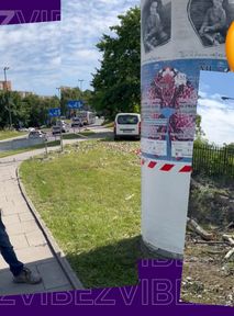 W Krakowie trwa wycinka ponad 1000 drzew. Mimo intensywnych protestów