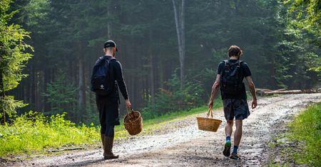 Nie rób tego pod żadnym pozorem. Kary nawet do 5 tys. zł