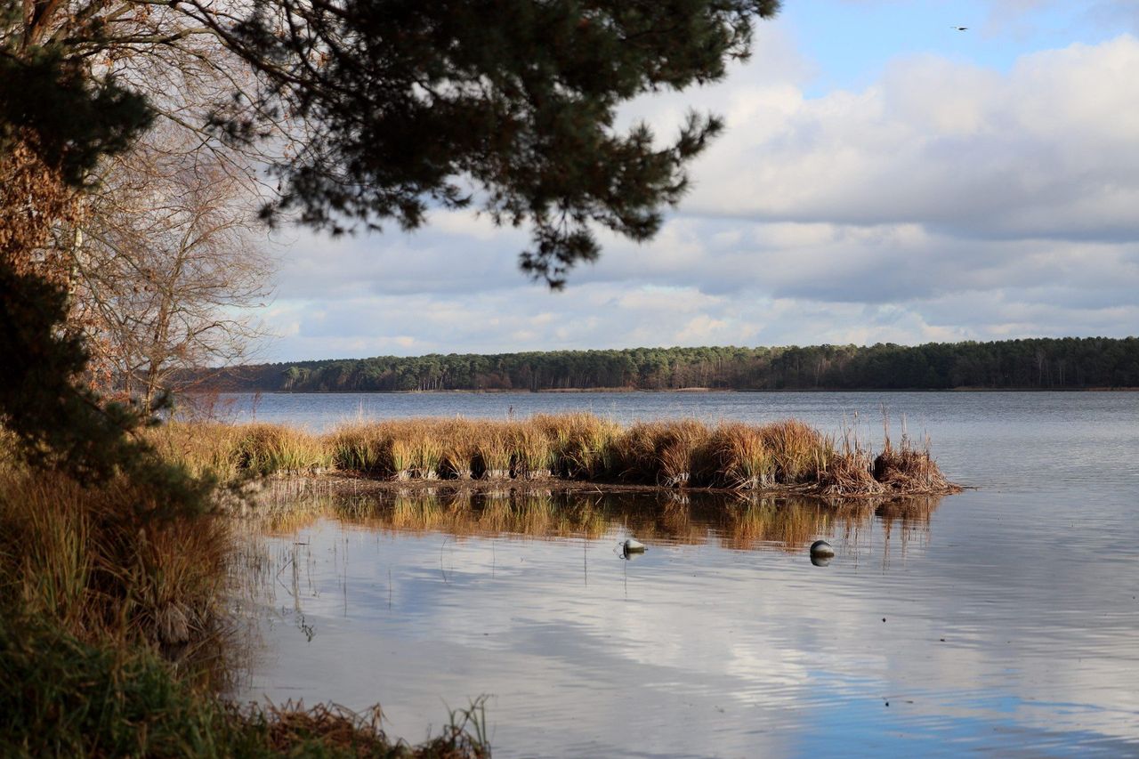 Lublin: Wędrówka na granicy lasu i wody. Zalew Zemborzycki w jesiennych barwach
