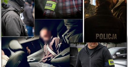 Zwłoki pozbawione wnętrzności. Policjanci rozwiązali sprawę zabójstwa
