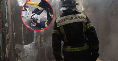Ukraińscy strażacy uratowali kota z płonącego budynku. Akcję uwieczniono na nagraniu