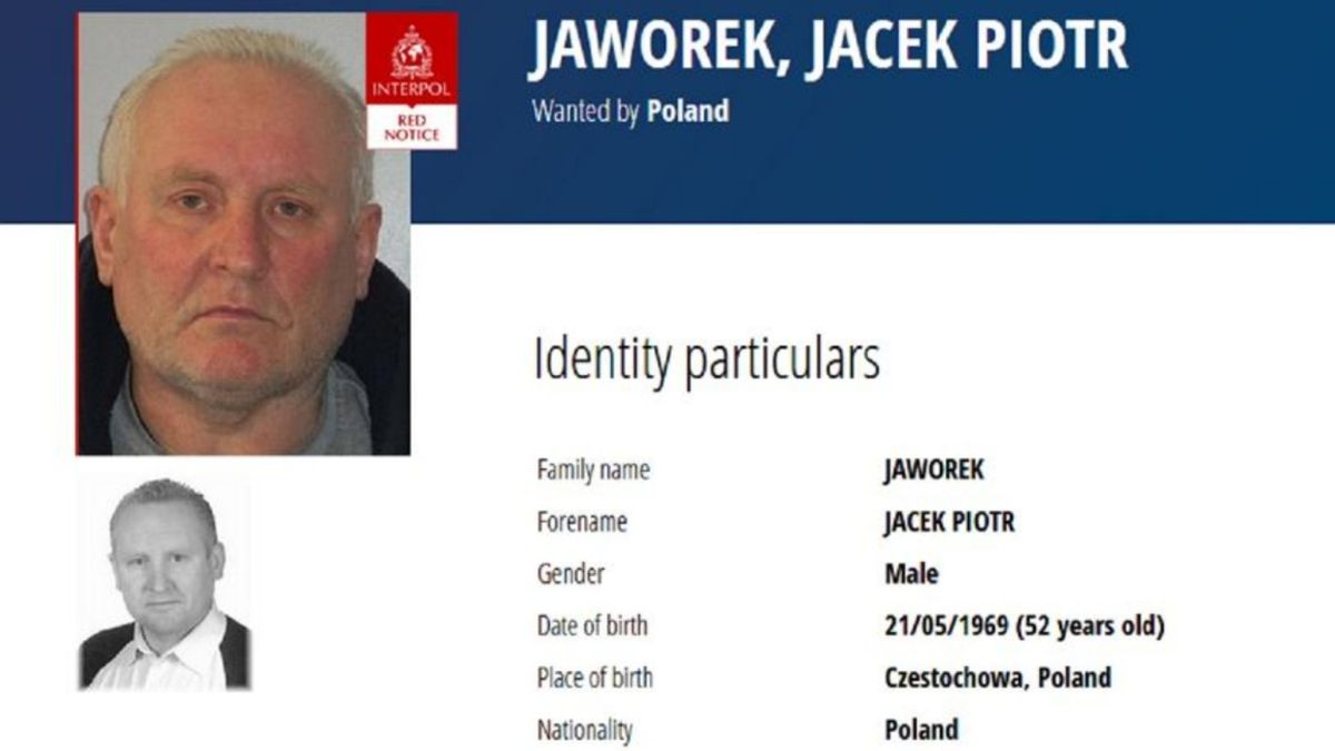 jacek jaworek