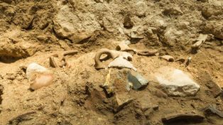 Było zapisane w Biblii. Trzęsienie ziemi sprzed 2800 lat