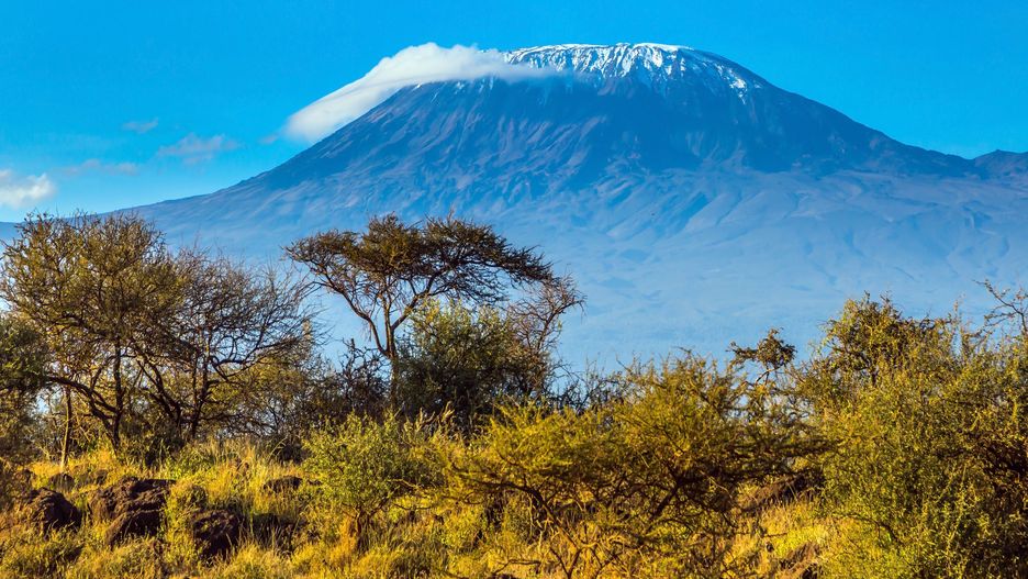 Kilimandżaro