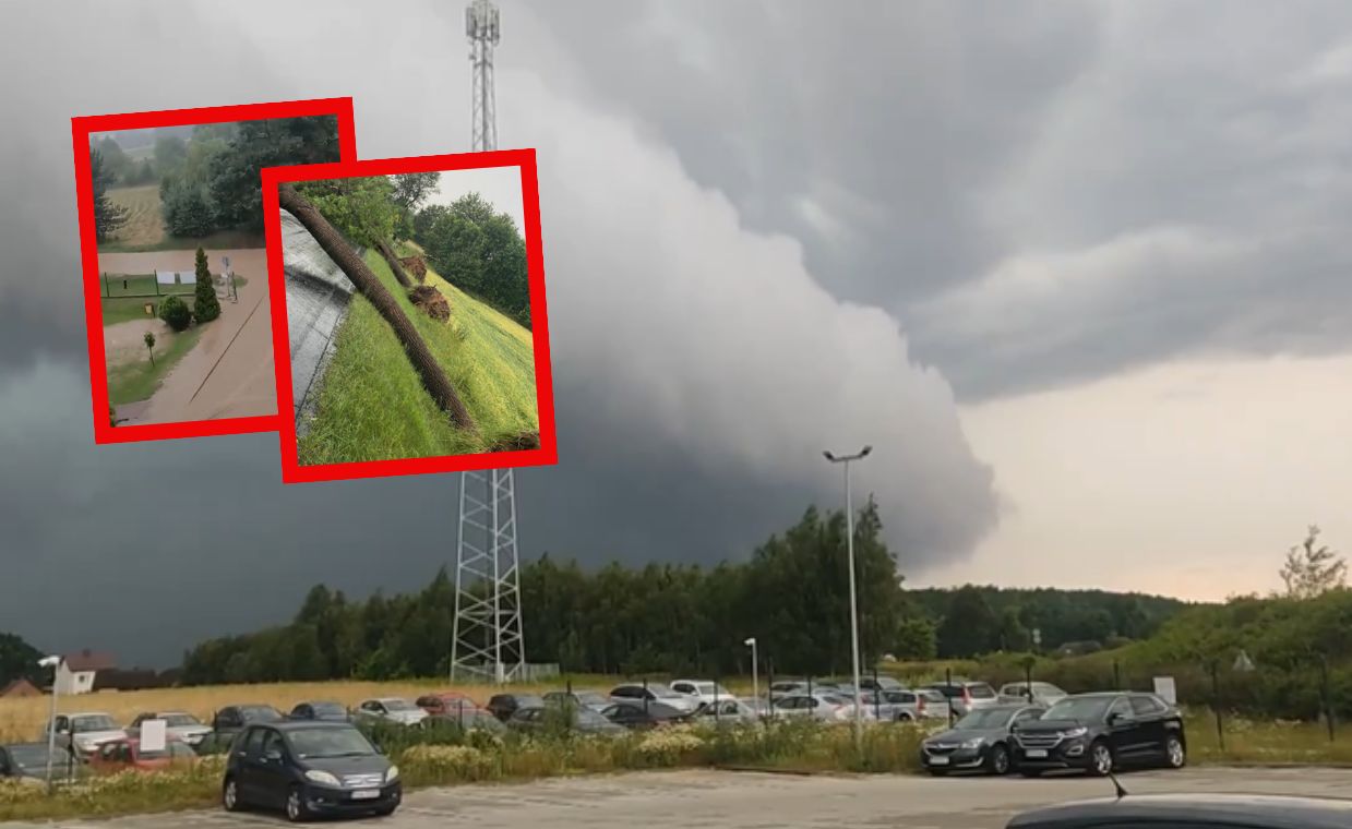 Połamane drzewa, zalane ulice. Ponad tysiąc interwencji po nawałnicach