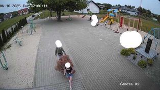 Wandale upchnęli starą choinkę do przenośnej toalety przy remizie