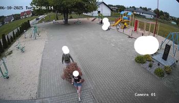 Wandale upchnęli starą choinkę do przenośnej toalety przy remizie