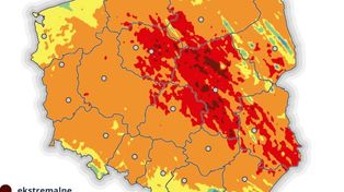 Pułtuskie lasy w strefie zagrożenia