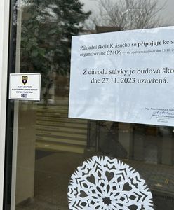 Gigantyczny protest w Czechach. Strajkuje nawet milion osób