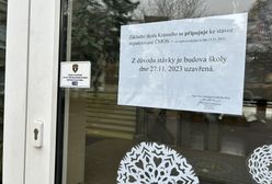 Gigantyczny protest w Czechach. Strajkuje nawet milion osób