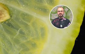 Najzdrowsze warzywo. Chroni przed rakiem jelit, trzustki, prostaty