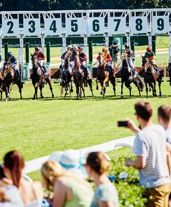 Wrocław. Kolejna wyścigowa środa na Partynicach. Zapowiadają się spore emocje