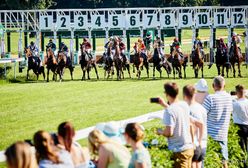Wrocław. Kolejna wyścigowa środa na Partynicach. Zapowiadają się spore emocje