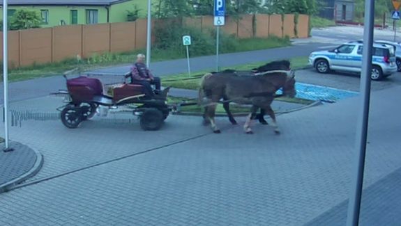 Konie przywiozły pijanego woźnicę na Komendę.