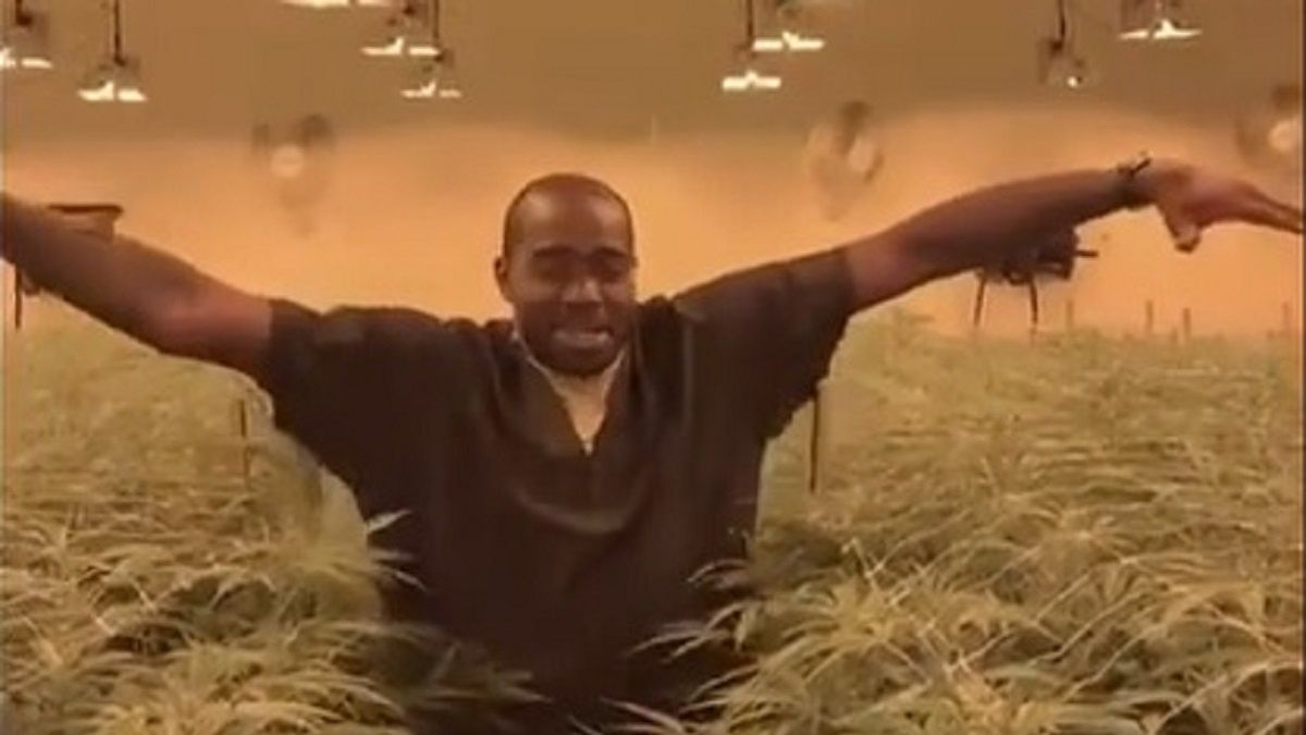 Stephane Lasme na plantacji konopi indyjskich