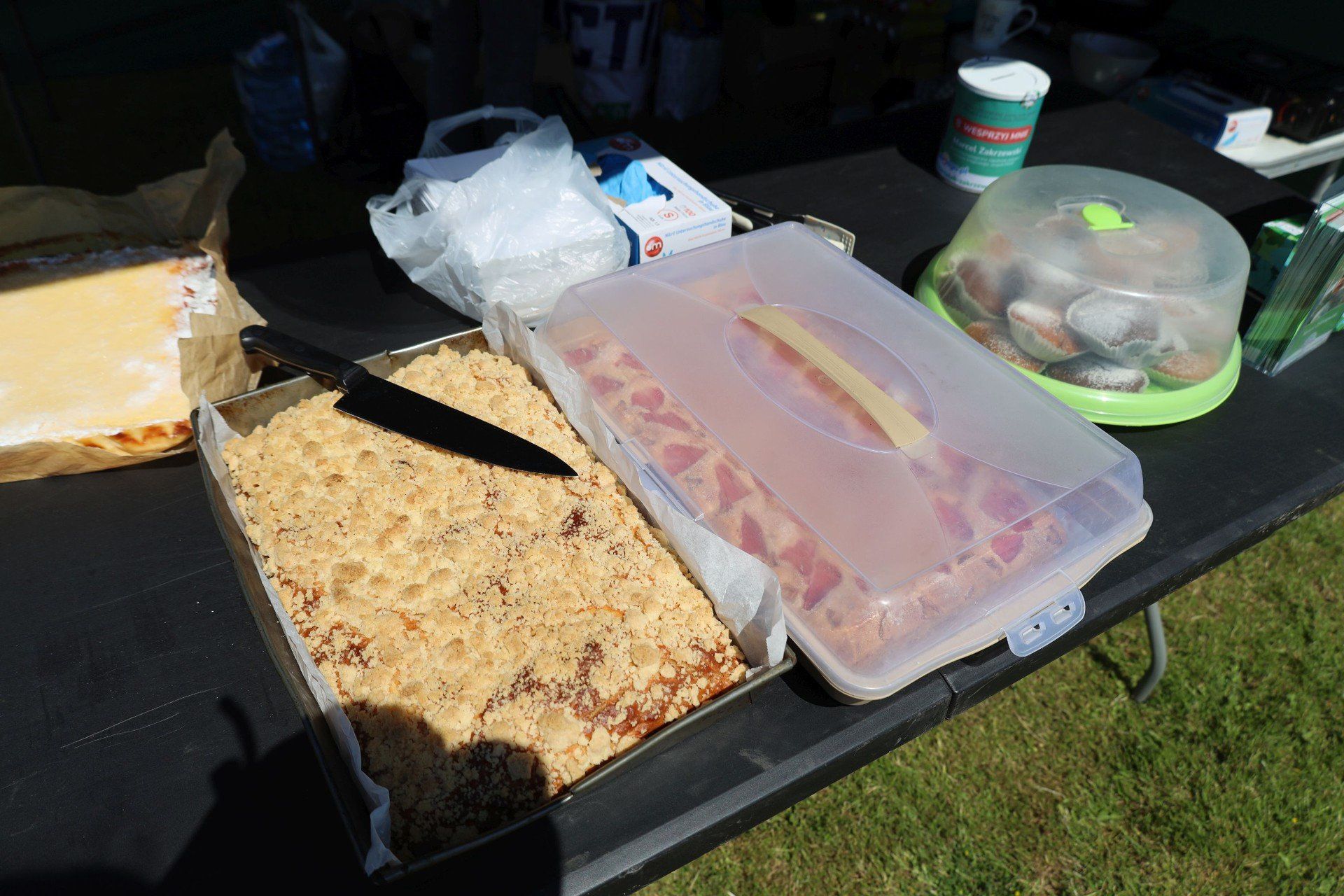 Piknik ekologiczny w Szczecinku