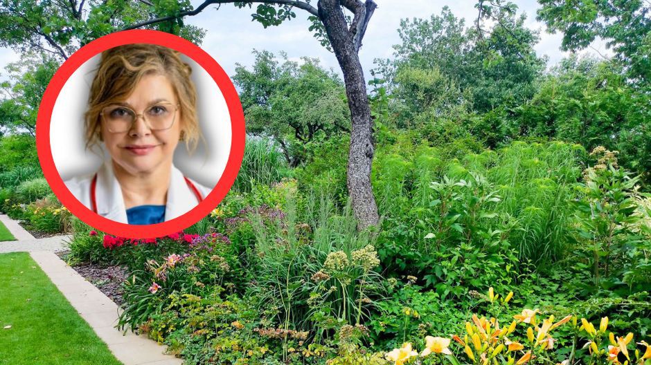 Trujące rośliny. Działkowicze powinni uważać