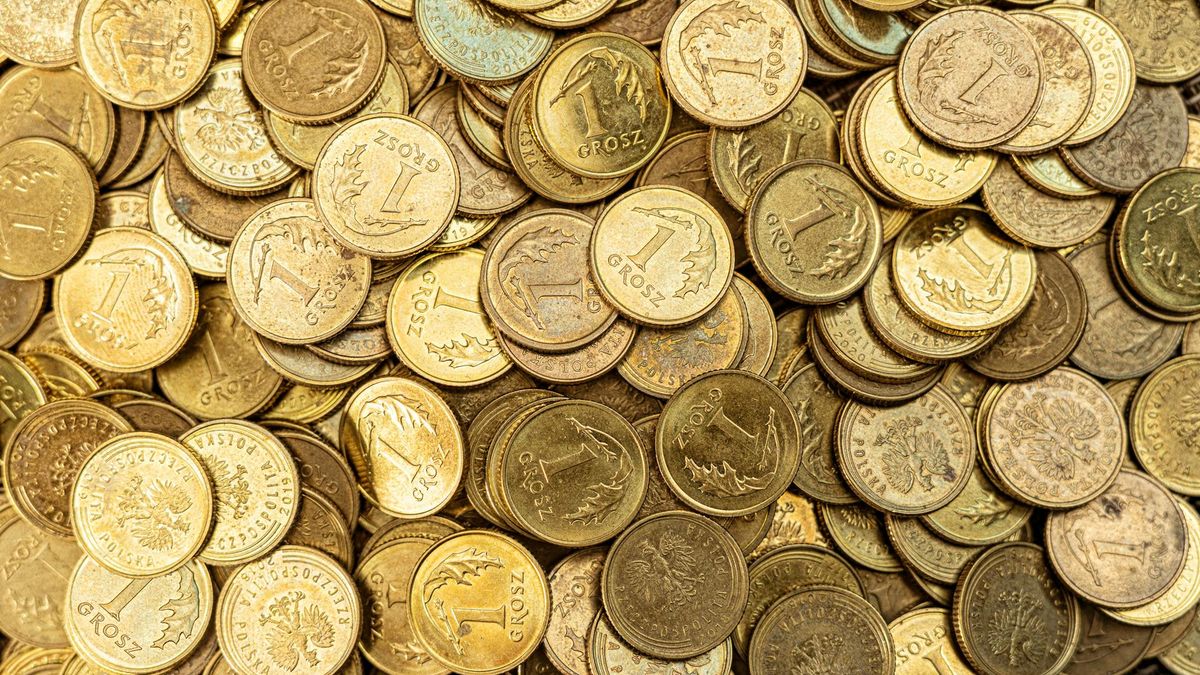 ZUS chce reformy tzw. emerytur groszowych