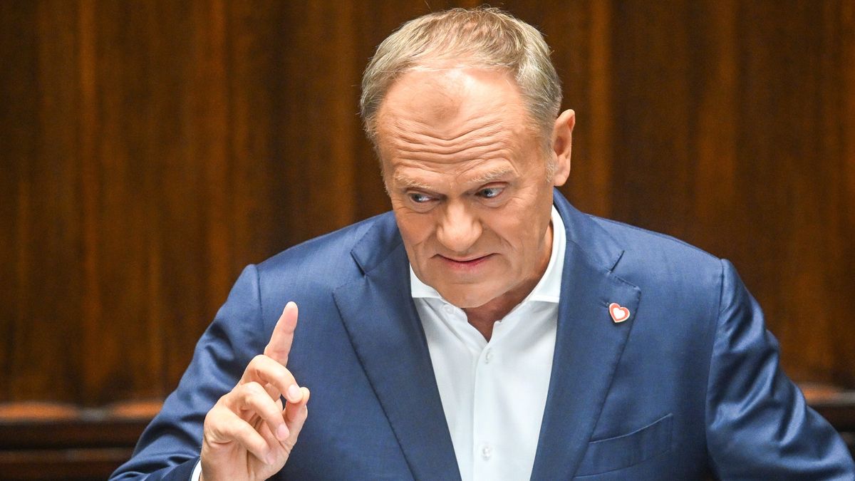 Donald Tusk mówił w Sejmie o aferze wizowej