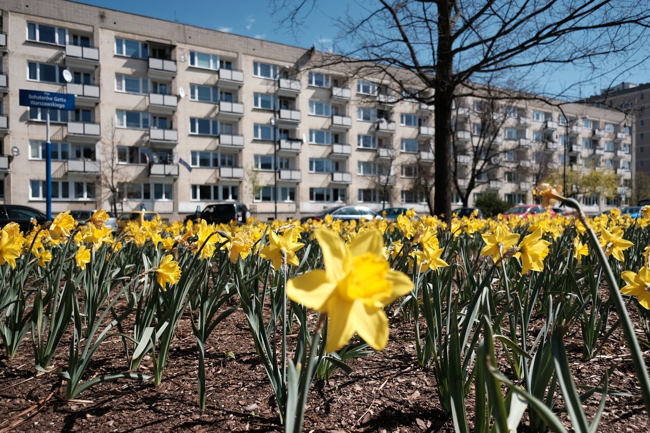 Warszawa. Muranów, plac Bohaterów Getta Warszawskiego 