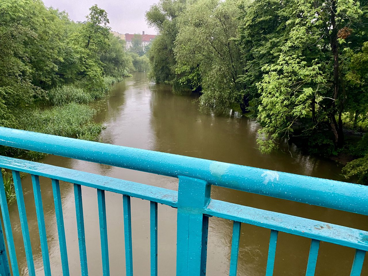 Podnosi się stan wód na dolnośląskich rzekach