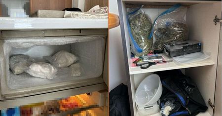 Amfetamina w zamrażarce, marihuana pod blatem. Narkotyki warte milion złotych znalezione u mieszkańca Lublina