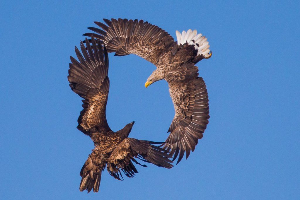 10. Wielki Konkurs Fotograficzny National Geographic - zobacz nagrodzone zdjęcia 30