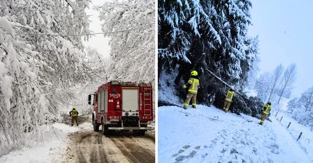 Niebezpieczne skutki śnieżycy. Setki interwencji strażaków