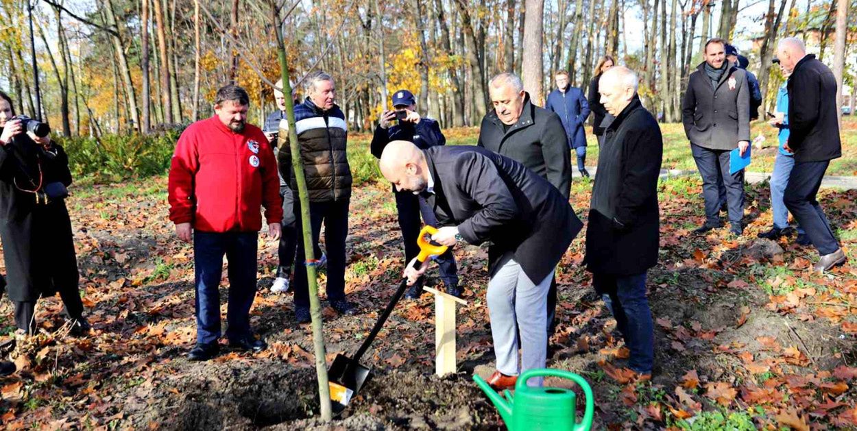 Mielec: Pamiątkowe drzewa z okazji 90-lecia Honorowego Krwiodawstwa