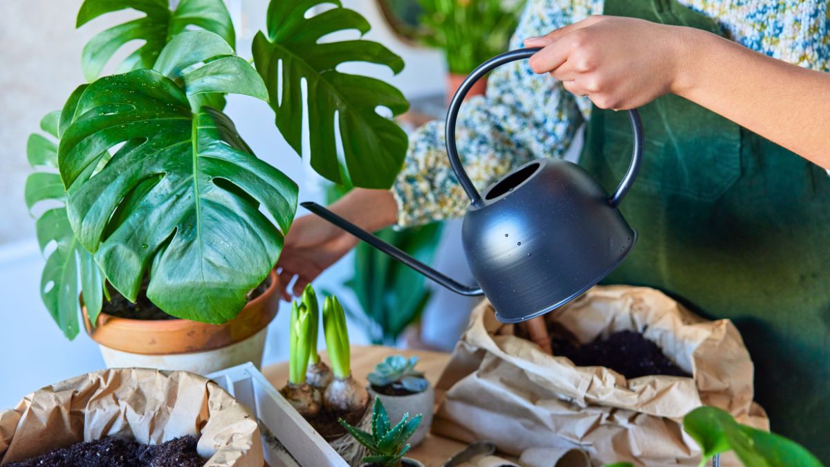 Nawóz z drożdży jest sprawdzony w naszej rodzinie od lat 