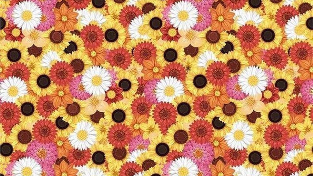 Test: znajdź pszczołę