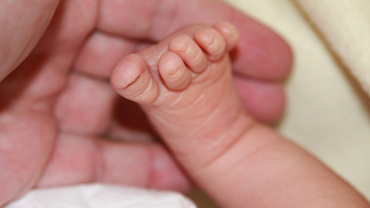 Przez szajkę wyłudzaczy życie miało stracić nawet 12 noworodków