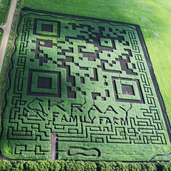 W skrócie: Największy kod QR, najstarszy kolorowy film i aplikacja, która śledzi kupę 3