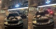 Weszła na maskę radiowozu. "Erotyczne pozy". Sceny w Czechach