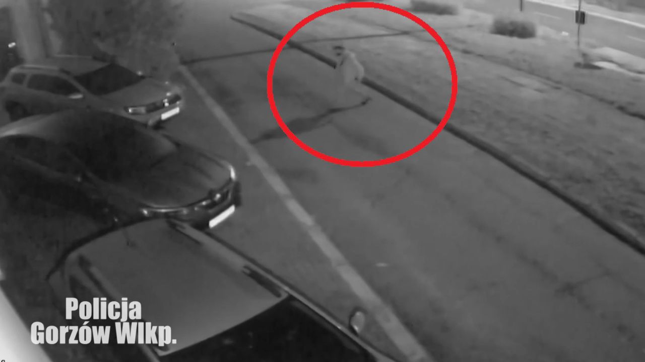 Podpalał auta i prowadził relację w internecie. Nagranie z monitoringu i akcji lubuskiej policji