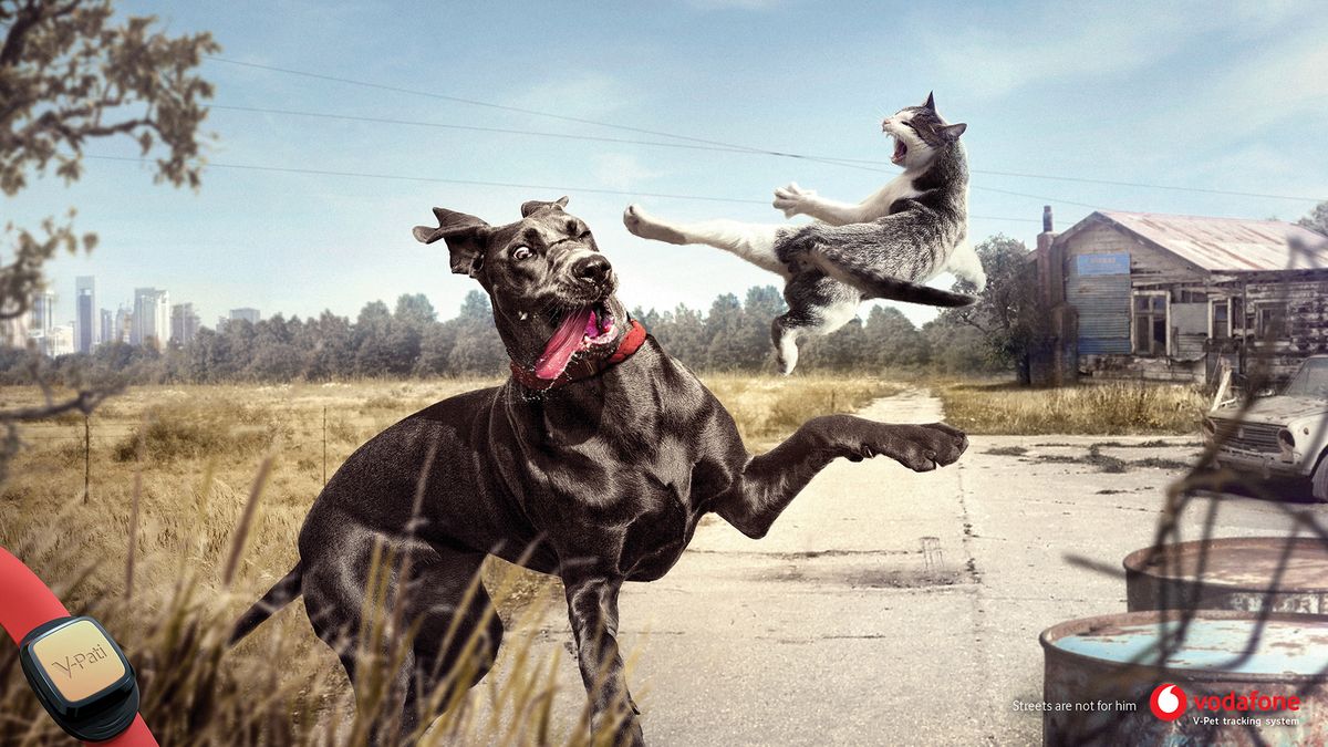 Zadziorne czworonogi w reklamie systemu śledzenia zwierząt 1