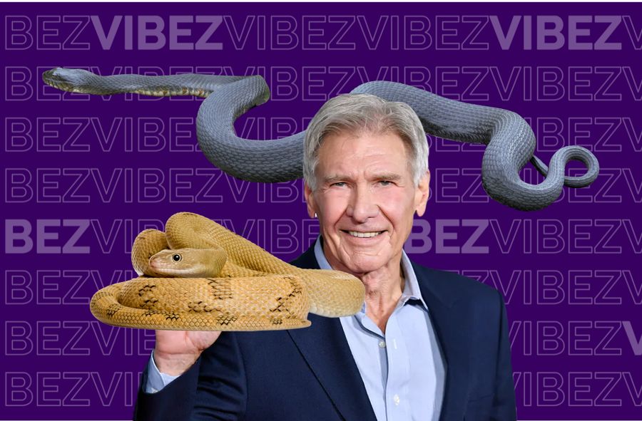 Harrison Ford może pochwalić się swoim własnym gatunkiem węża