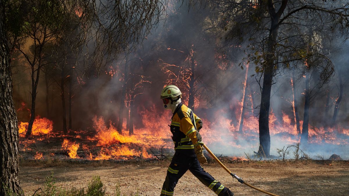 The Infona Plan Is Upgraded To Level 2 Due To A Forest Fire In A Pine Forest In Carcastillo.
CARCASTILLO NAVARRE, SPAIN - AUGUST 10: Firefighters continue the extinguishing works to extinguish the fire, on 10 August, 2025 in Carcastillo, Navarra, Spain. The fire started on the night of Saturday, August 9, in a pine forest located next to the road between Carcastillo and Figarol, in the Llano de Larrate, continues to affect areas of Aleppo pine. At 8 o'clock this Sunday has risen to 2 the operational situation of the Special Emergency Civil Protection Plan for forest fires in the Foral Community of Navarra (INFONA), and at this time, what is most worrying are the high temperatures that are stressing the entire Foral Community, along with factors such as wind, terrain orography and the abundance of foliage that acts as fuel. (Photo By Eduardo Sanz/Europa Press via Getty Images)
Europa Press News