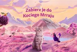 9 na 10 opiekunów kotów w Polsce uważa, że ich kot ma unikalną osobowość - sprawdź, co czyni pupila szczęśliwym