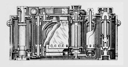 Tak wyglądała anatomia Leiki w 1939 roku