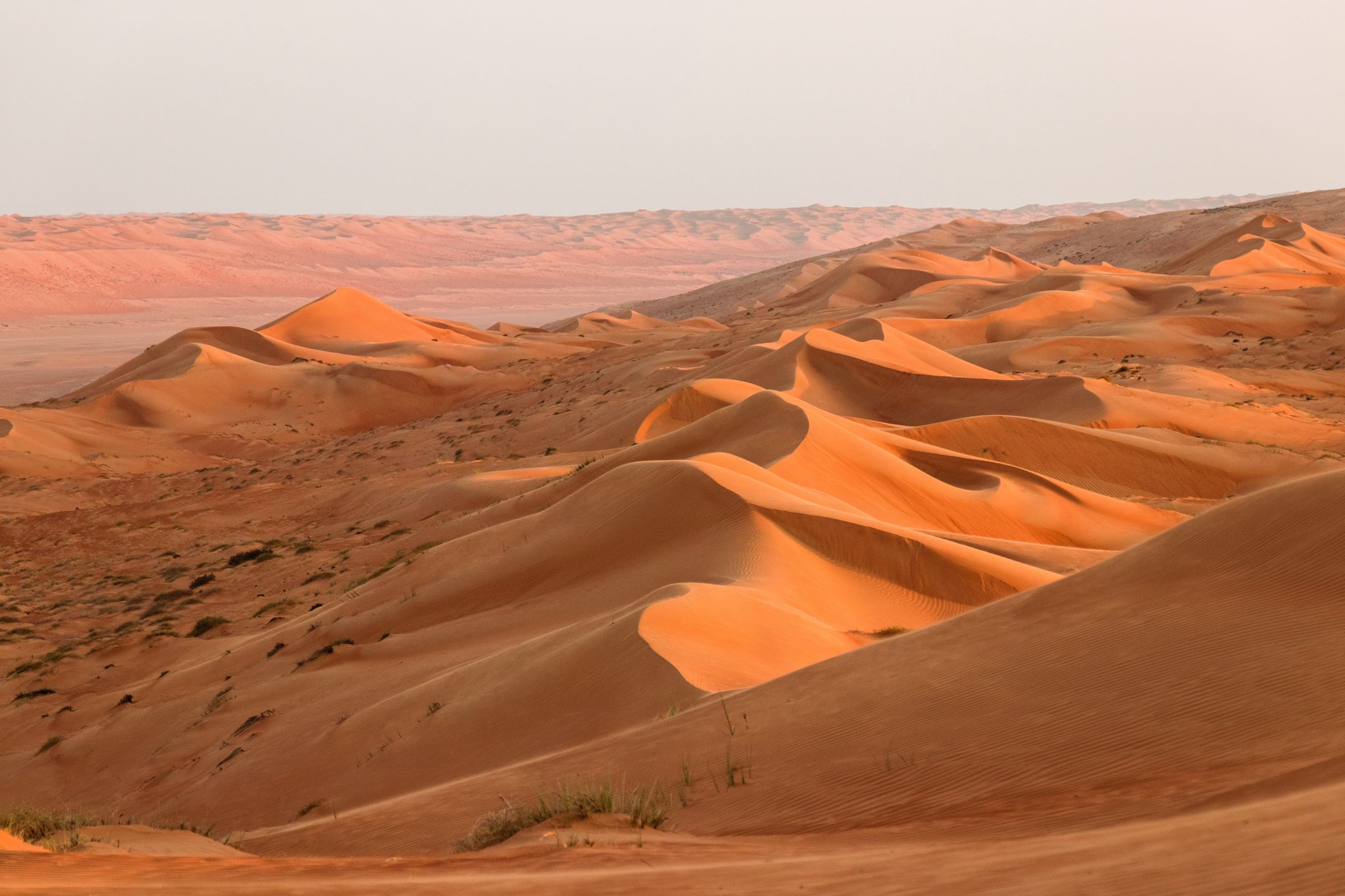 Wahiba Sands 