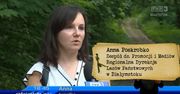 Wpadka TVP! Pracownica Lasów Państwowych zachwala serwis jako... "turystka"