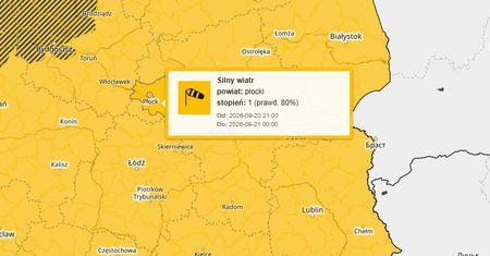 Silny wiatr w regionie. IMGW wydał ostrzeżenie meteorologiczne!