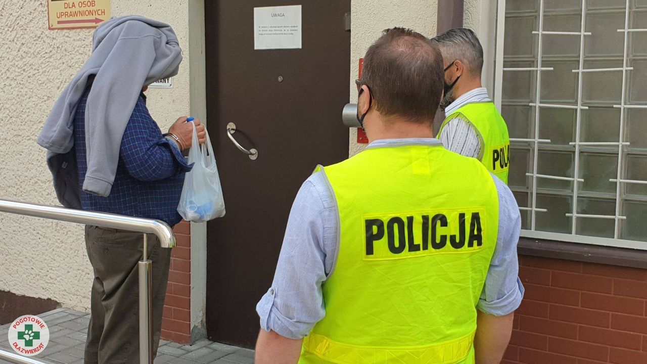 Właściciel schroniska w Radysach wychodzi z aresztu. Aktywiści są oburzeni