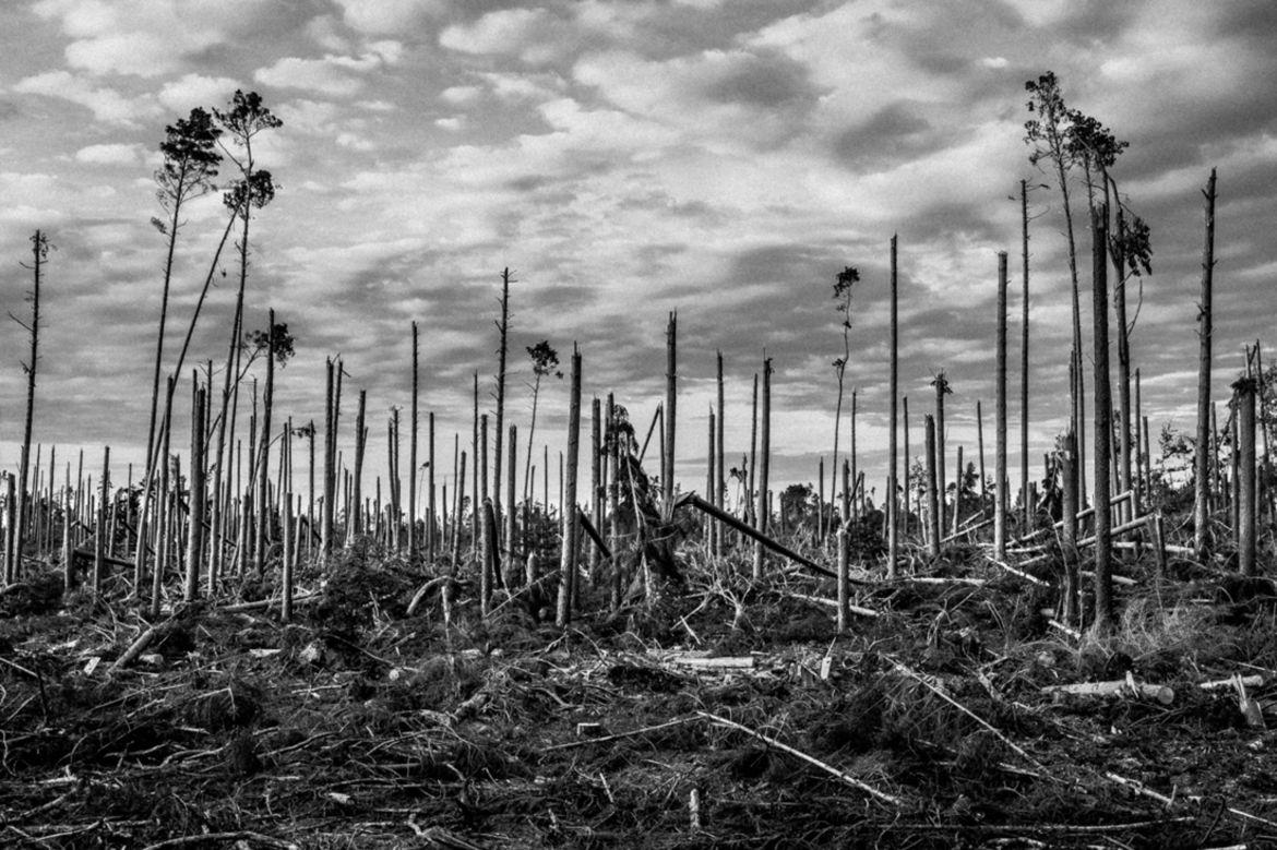 Polacy nagrodzeni w konkursie MonoVisions Photography Awards 2018 44