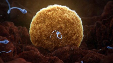 Grafika komputerowa w filmach naukowych wprowadza nas w błąd? 1